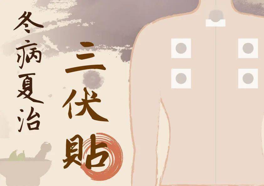 三伏貼批發廠家直銷！專業品質，優惠價格，助您贏得市場！
